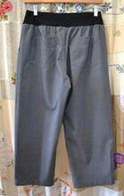 Load image into Gallery viewer, Berserk Steel Grey Stretch Waist Pant